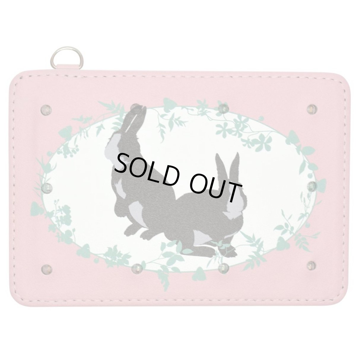 画像1: LED光るパスケース10灯　ラビットガーデン (1)