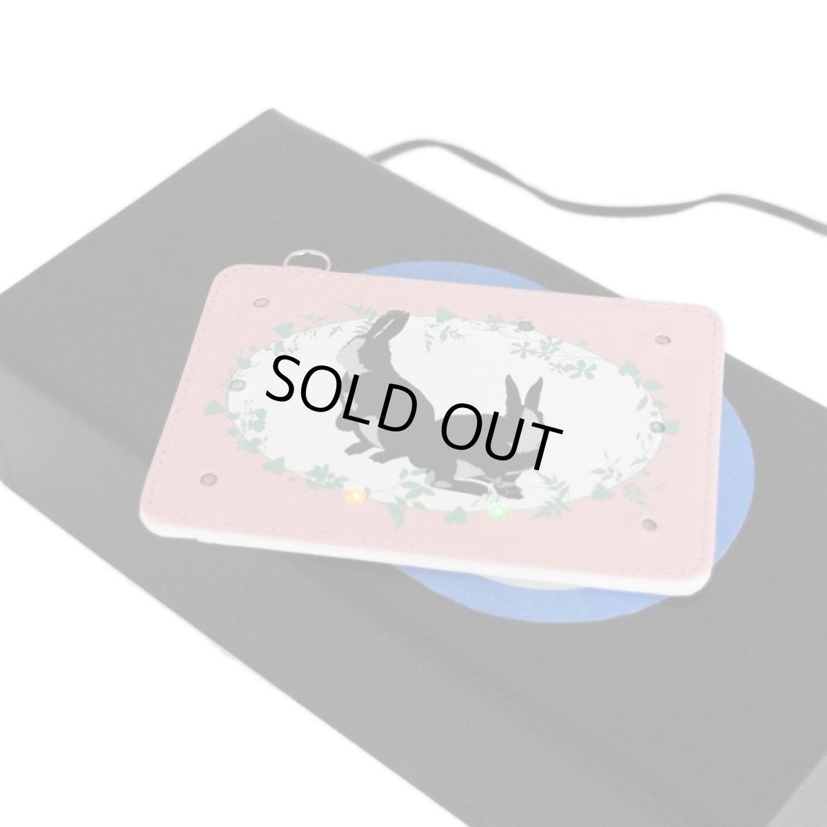 画像2: LED光るパスケース10灯　ラビットガーデン (2)