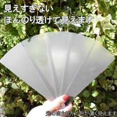 画像2: プラスチック扇子 半透明グレー飛沫防止 (2)